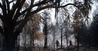 Twin Georgia wildfires scorch 40,000+ acres, destroy 100+ homes