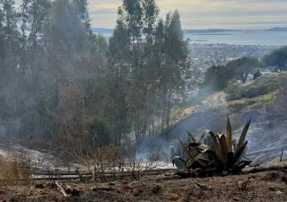 Oakland-Berkeley Hills Fire Damages One Home on 1991 Firestorm Anniversary