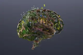 Experts urge proactive brain health strategies as dementia cases surge