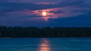This weekend’s micromoon: the year’s farthest, smallest, and dimmest full Moon, per NASA