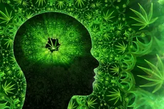 Cannabis May Rewrite Your Memories, Not Just Fog Them
