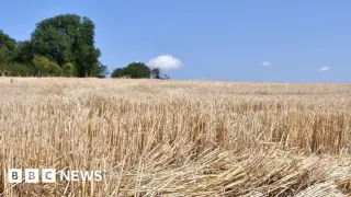 West Country in Drought as UK Faces Fourth Heatwave