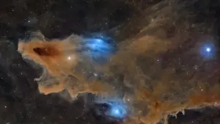 Shark Nebula Crowned Overall Winner at Space Photography Awards