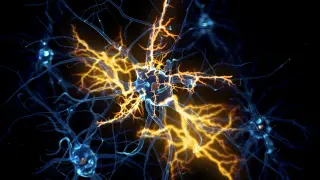 Blocking a cellular brake unlocks nerve regeneration after injury