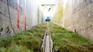 Dutch Scientists Transplant Real Salt Marsh into Wave Machine to Test Coastal Resilience