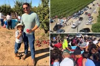 Massive nectarine giveaway halted in California amid ownership fight