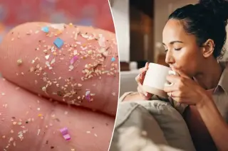 Turkish Study Finds Plastic Tea Bags Shed Thousands of Microplastics and BPA into Daily Cups