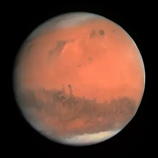 Earthly petroleum contamination reshapes Mars biosignature search