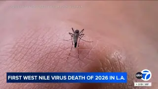 LA County records first West Nile death of 2026 as cases rise
