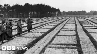 German prosecutors pursue 105-year-old suspect in WWII POW camp murder case