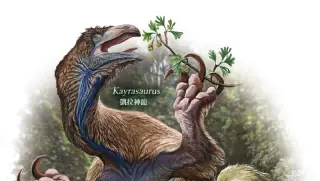 Largest Therizinosaur Yet Found in China's Jehol Biota