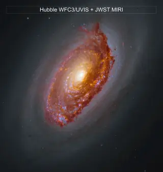 Webb Reveals Dusty Drama in the Black Eye Galaxy (M64)