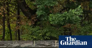 Reopened Cornell Probe Hinges on Conflicting Victim Statements and New Text Evidence