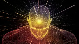 Two-dose nasal spray reverses brain aging markers in animal models