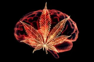 Teen Cannabis Use Linked to Disrupted Brain Reward Development