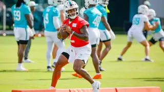 Willis Sparks Dolphins Camp with TDs and Dual‑Threat Show