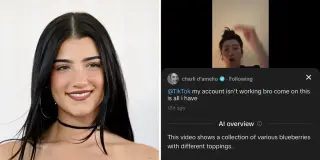 TikTok Pulls Back on AI Video Overviews After Silly Hallucinations