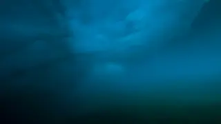 Unmanned sub spots eerie Antarctic ice patterns, then goes dark