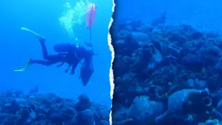 2,400-Year-Old Shipwreck Off Andros Reveals Ancient Amphora Cargo