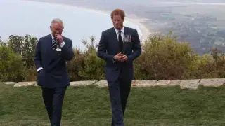 Harry's Security Quest Hits a Legal Barrier