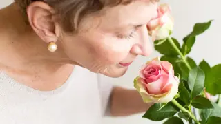 Nose as Early Alarm: Immune-Driven Olfactory Breakdown in Alzheimer’s