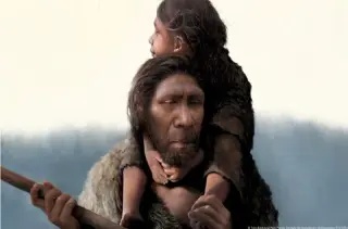 Neanderthal Infants Grew Faster Than Modern Humans, Study Finds
