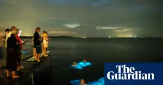 Algae glow enables 3D-printed light shapes