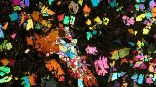 Sahara meteorite reveals a vanished protoplanet in the early solar system