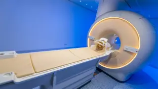 Psilocybin Study Finds Hidden Order in Brain Activity, Challenging 'Chaos' Theory