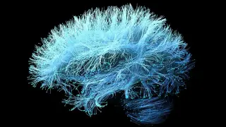 Glucosamine May Be Linked to Faster Dementia Progression, Study Finds