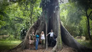 Africa’s forests switch from carbon sink to carbon source, prompting stronger conservation push