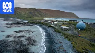Australia to Evacuate Macquarie Island Staff Over Bird Flu Fears