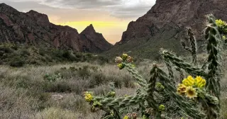 Federal judge halts Big Bend border wall construction, voids regulatory waivers