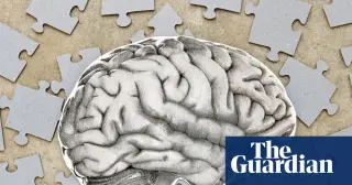 Move, Munch, Mind-Wander: Outsmart the Brain Cliff in Midlife