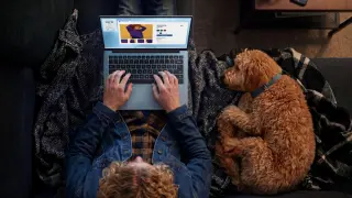 Dell 14S Unveiled as Budget MacBook Neo Rival with Big Battery