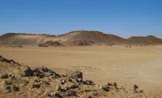 Egypt Fossil Rewrites Ape Origins, Expanding the Map Beyond East Africa