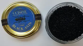 Ant-Infused Sherbet Could Put Korea’s Two-Michelin Star Owner Behind Bars