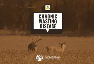 Delaware Moves to Contain CWD With Emergency Deer-Hunting Rules