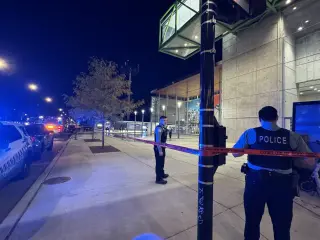 CTA Janitor Killed in Stabbing at Damen Station After Mace Incident