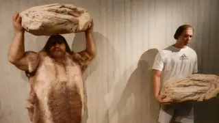 Ancient Neanderthal Variant Promotes Extra Muscle in Some Modern Humans
