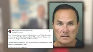 Florida Clerk of Court Faces Five Felony Charges in Child Abuse Case, Put on Leave by DeSantis