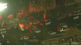 Canoga Park tragedy: father suspected in murder-suicide with twin sons