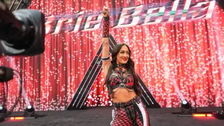 Brie Bella Hospitalized with Shoulder Injury After SummerSlam, WWE Plans Pivot