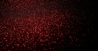 Webb’s Red Dots Hint at a Hidden Black-Hole Star in the Early Universe