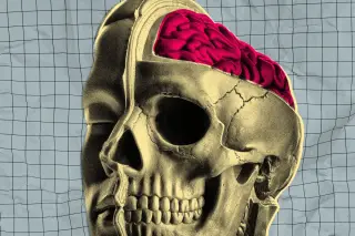 Startup Tests Drugs on Fresh Brains Kept Alive on Life Support