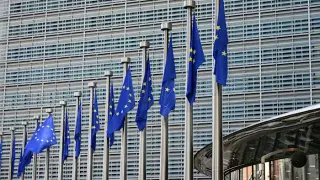 Europe’s Response to China: Prioritizing Adaptation Over Protectionism