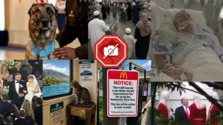 Spotting AI Images: A Practical Checklist from Snopes