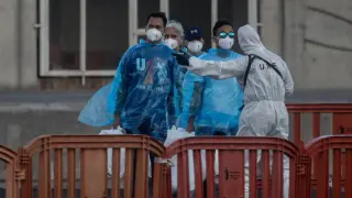 WHO narrows hantavirus origin to the Andes, debunking Ushuaia landfill theory