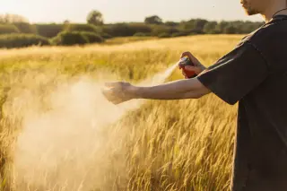 Five Summer Moves to Deter Mosquito Bites, According to Experts