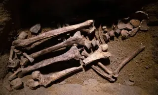 Bear Bones Recast Japan’s Ancient Past, Debunking Ushikawa Man